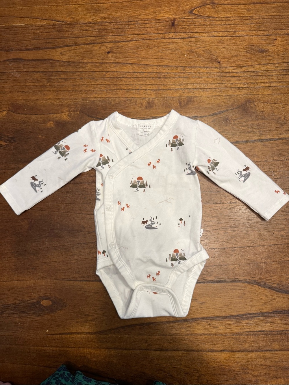 FIRSTS 2 Pack 3 Months Long Sleeve Baby One-Pieces